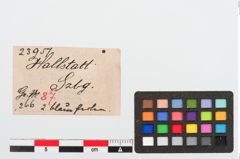 Etiketten zu Glasperle (NHMW-PRAE-023957)